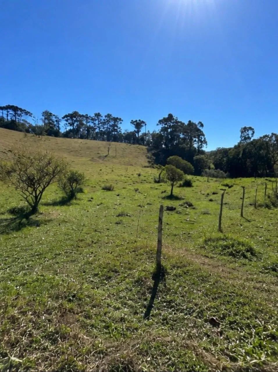 Terreno em visconde de mauá - Foto 2