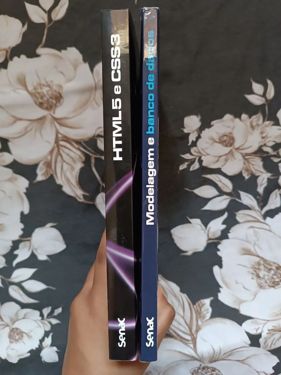 Kit 2 Livros Senac: HTML5 e CSS3 + Modelagem e Banco de Dados | Colecionador - Foto 3