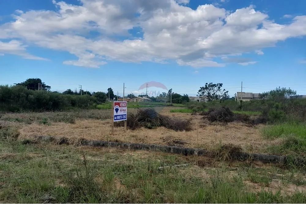 SUPER OPORTUNIDADE - Terreno - Santa Rosa do Sul- SC - Foto 4