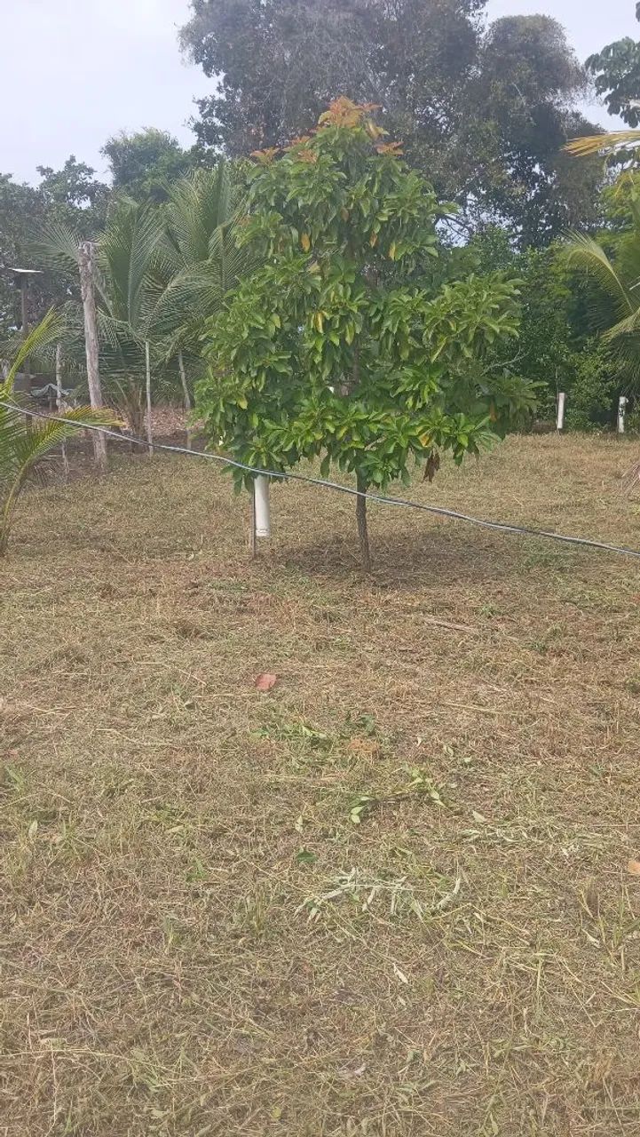 Terreno em Arembepe  - Foto 5