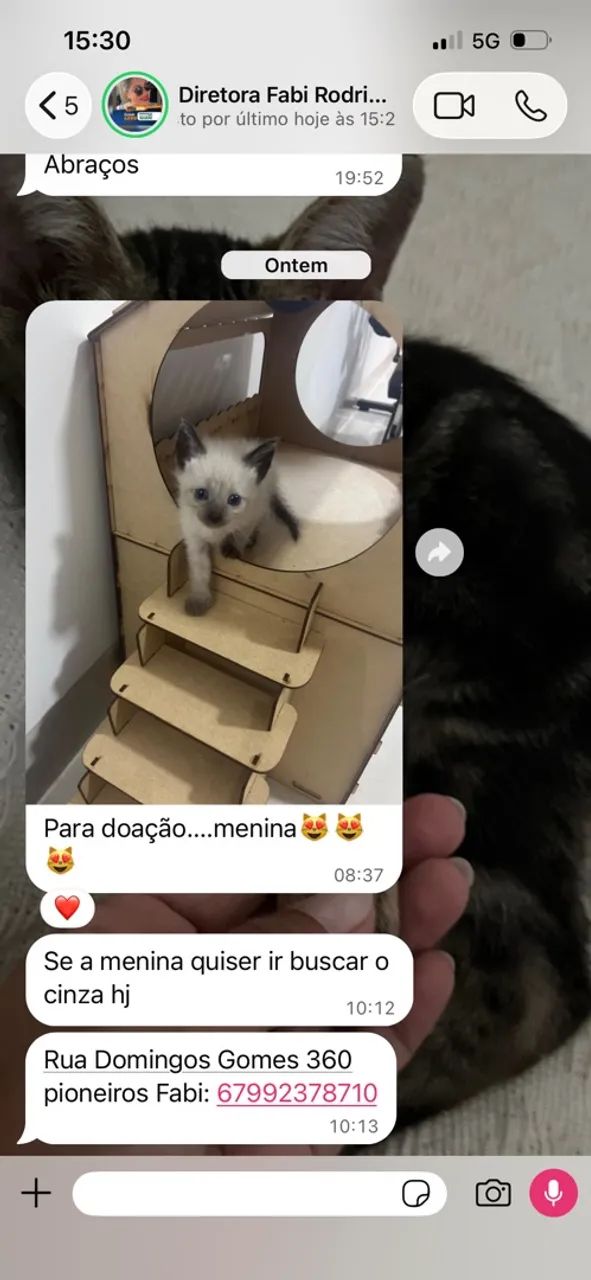 Doação 