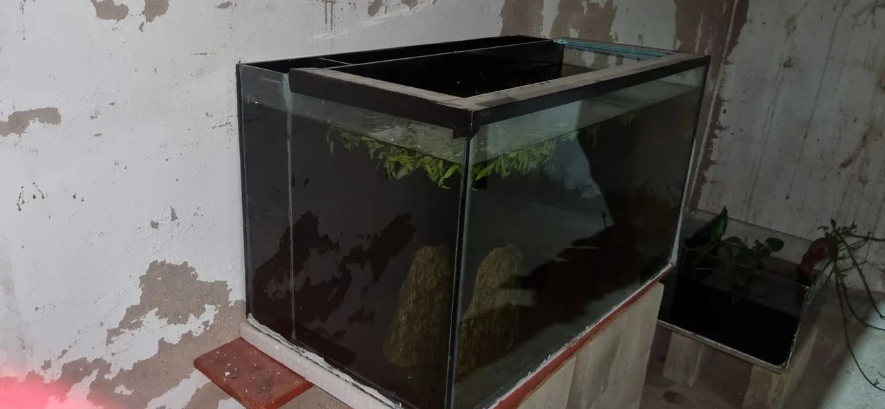 Vende se aquário 225 litros  - Foto 4