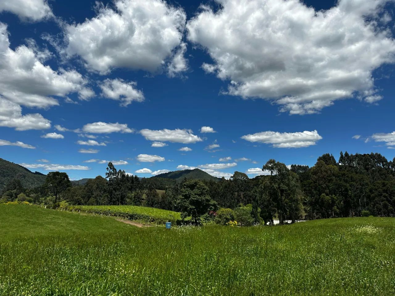 Área de 5,0 hectares em Rio Rufino/ SC - Foto 5