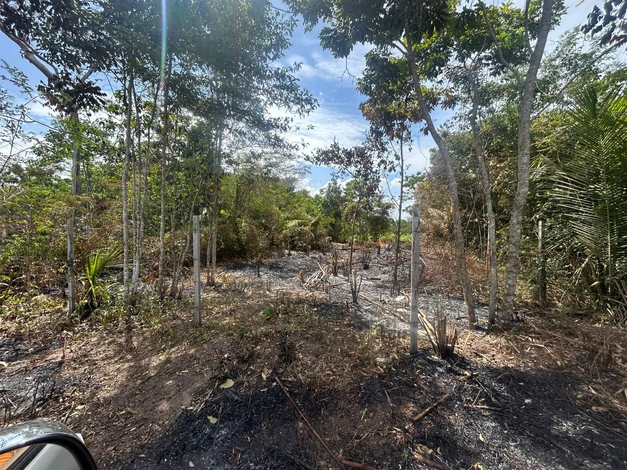 Foto - Santarém - Amparo