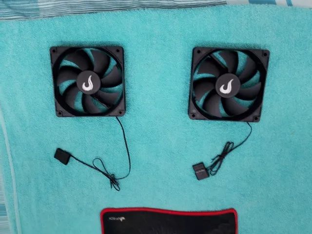 Fans