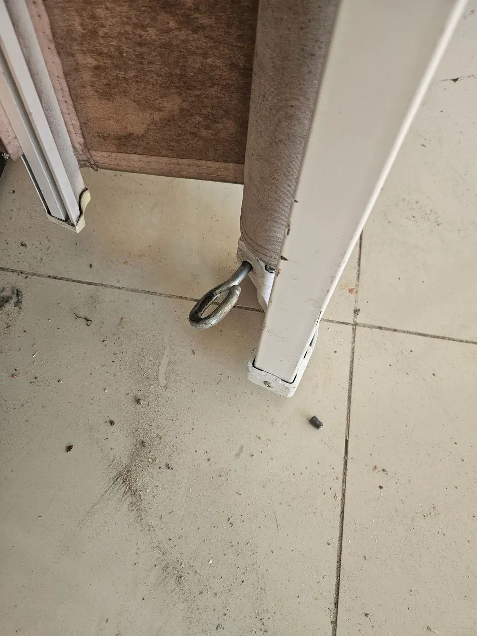 Toldo atricular439340721798522882