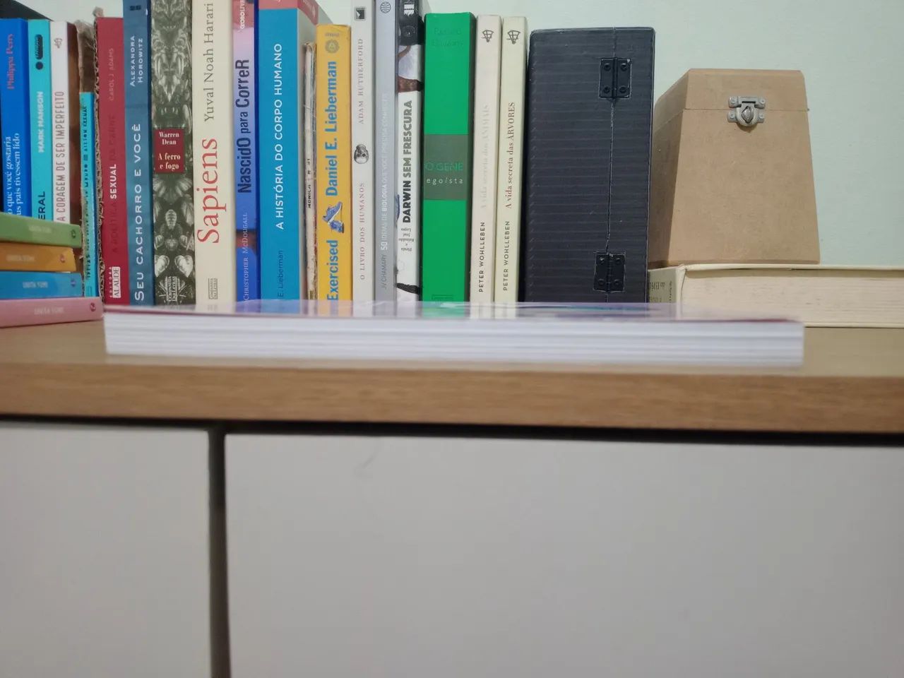 Usagi Drop - Volume 5 - Foto 4