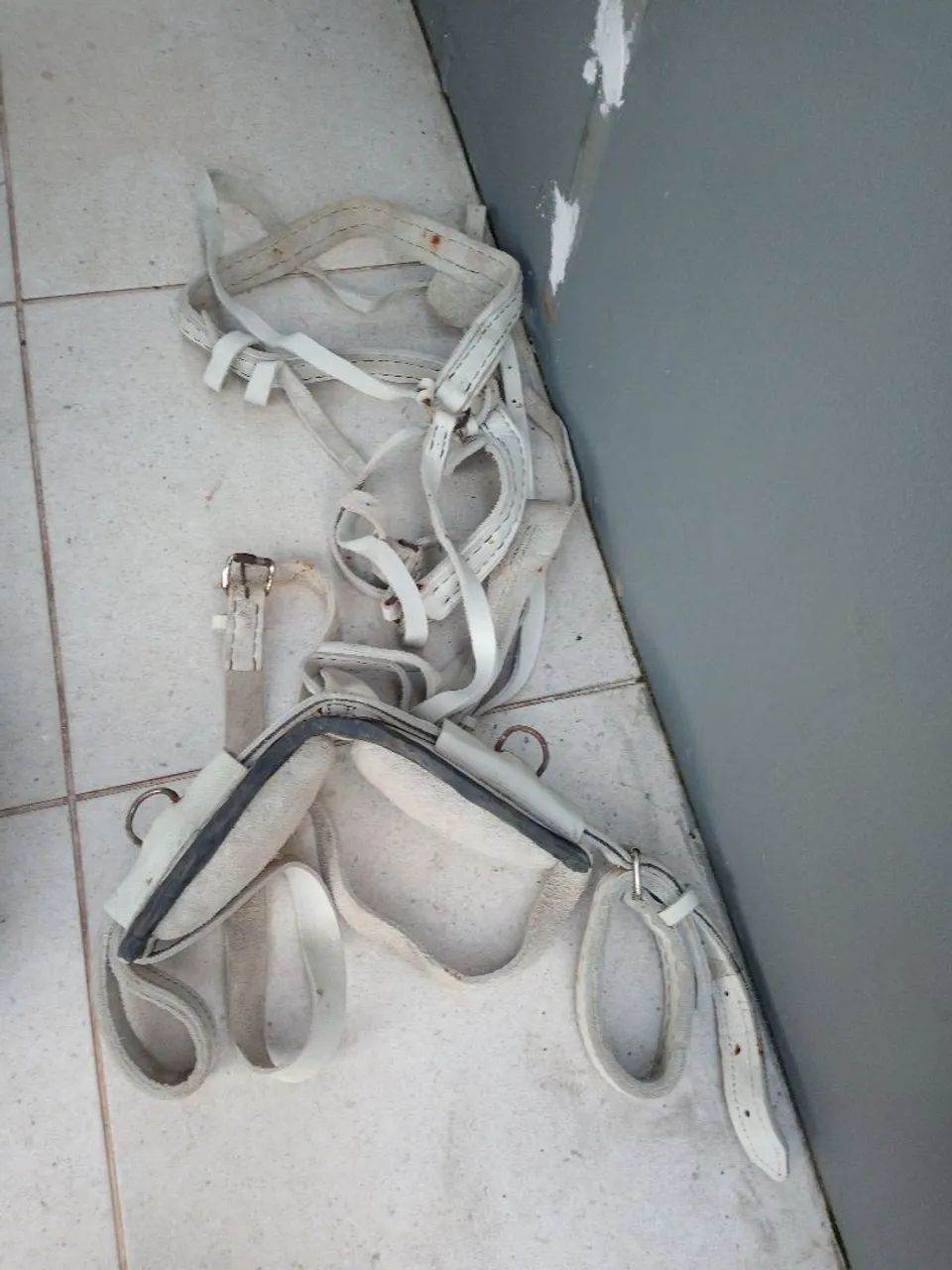 Arreios para charrete  - Foto 2