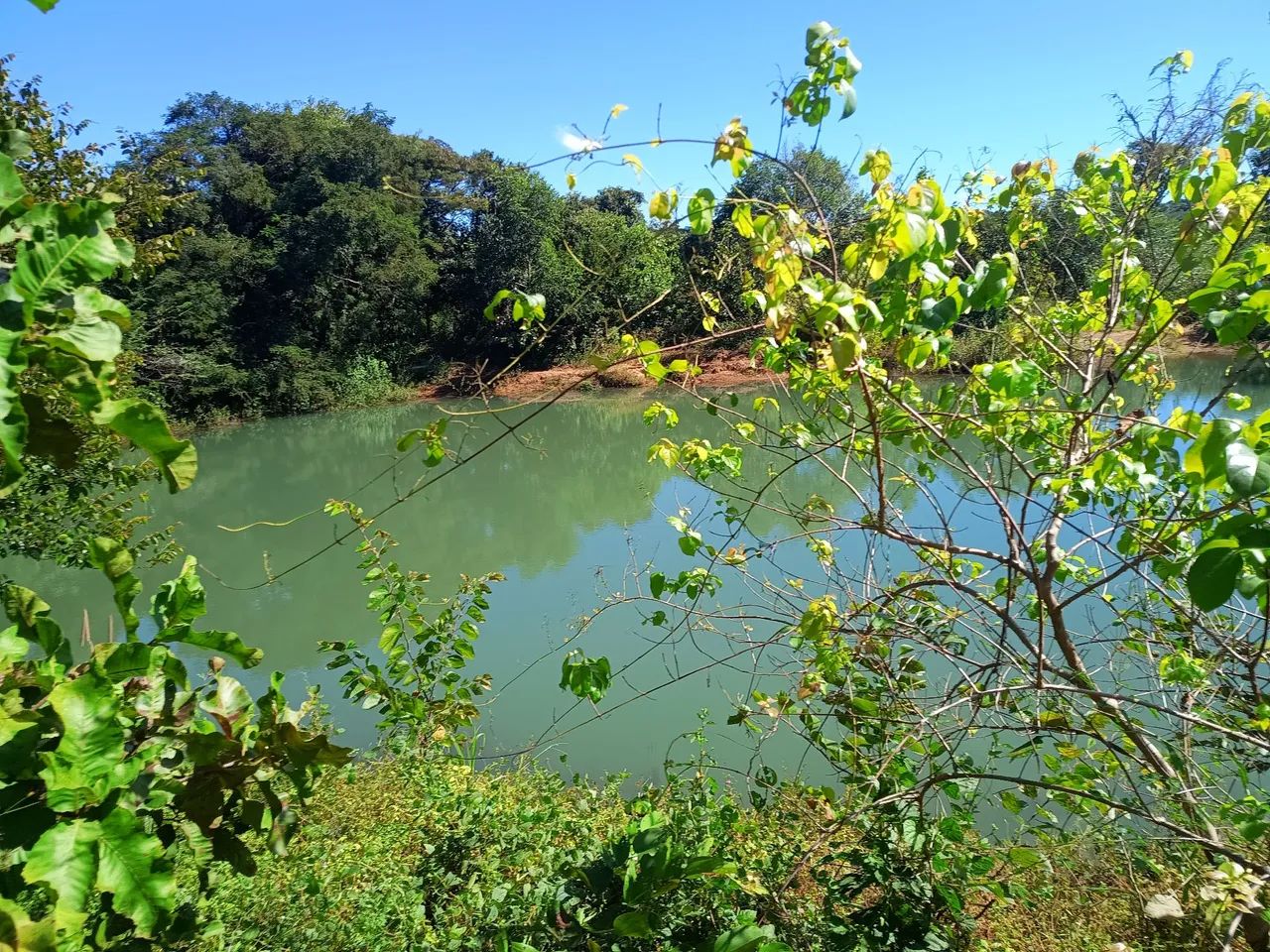 Fazenda em Barrolandia - Miracema - Palmas