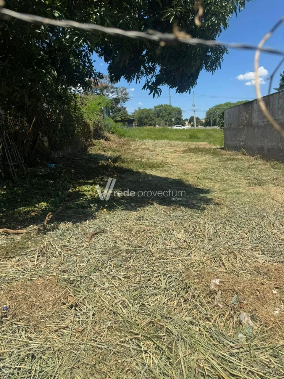 terreno - Barão Geraldo - Campinas - Foto 2