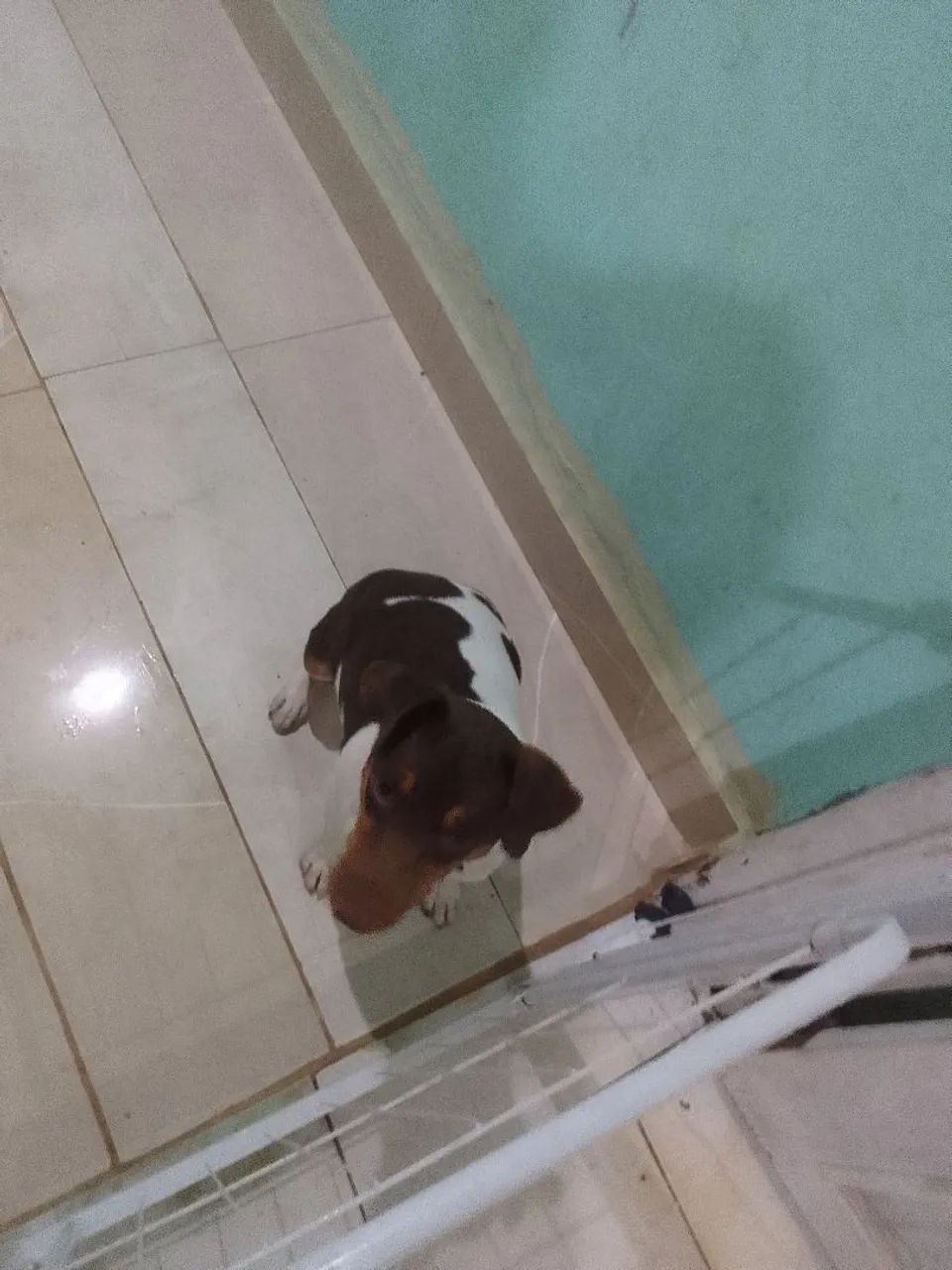 vende se for Paulista  - Foto 2
