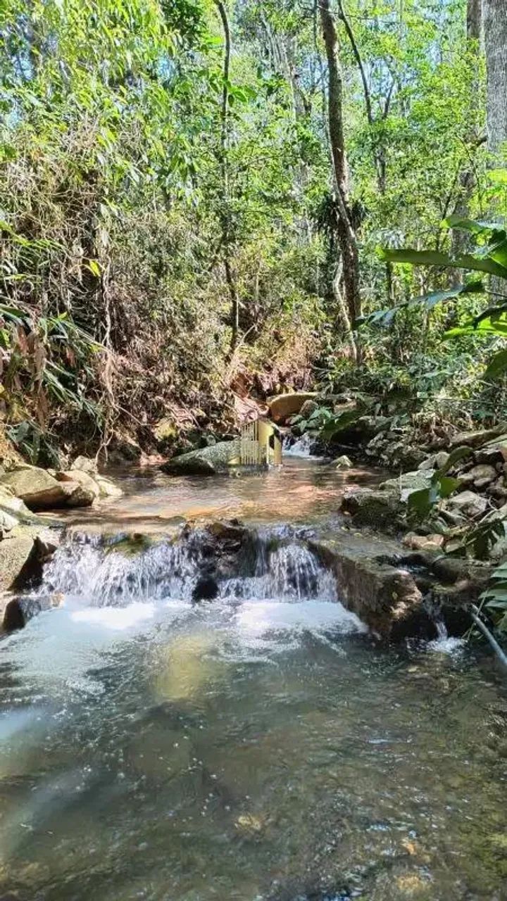 Sítio à venda, no Bairro Passagem do Massiambú, Palhoça-SC - Foto 5