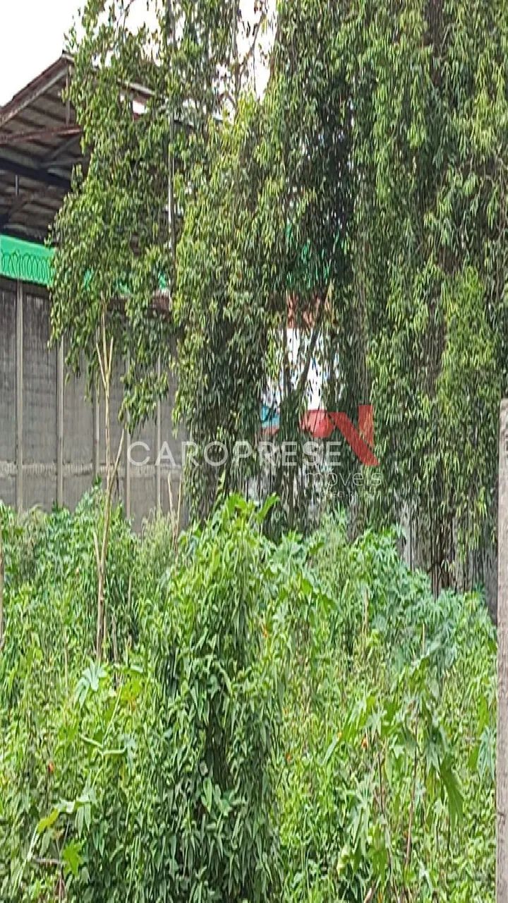 Terreno em Parque Capivari - Foto 4