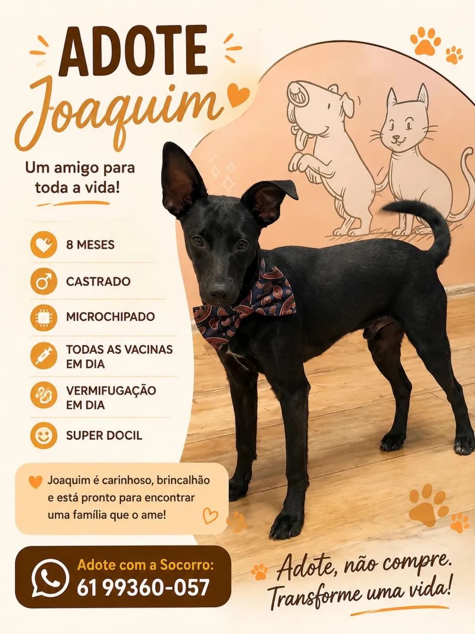 Cachorro 