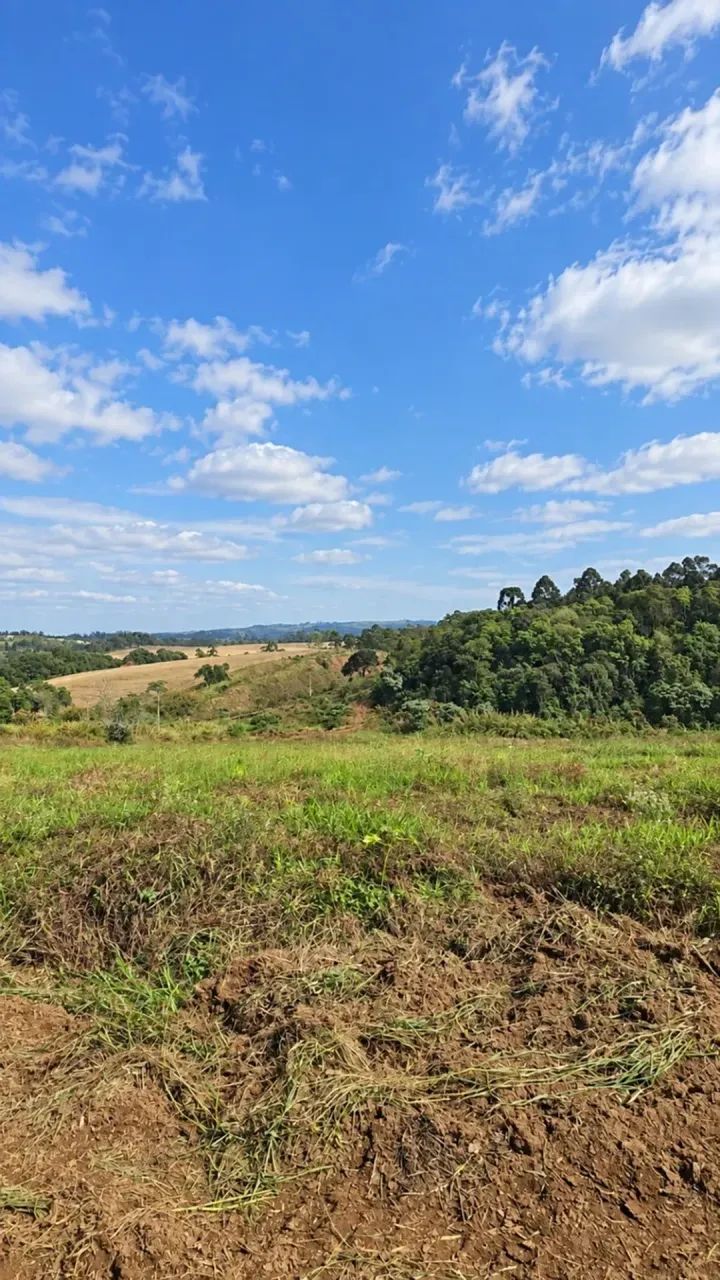 Terrenos de 1000 metros em Mairinque Próximos. - Foto 4