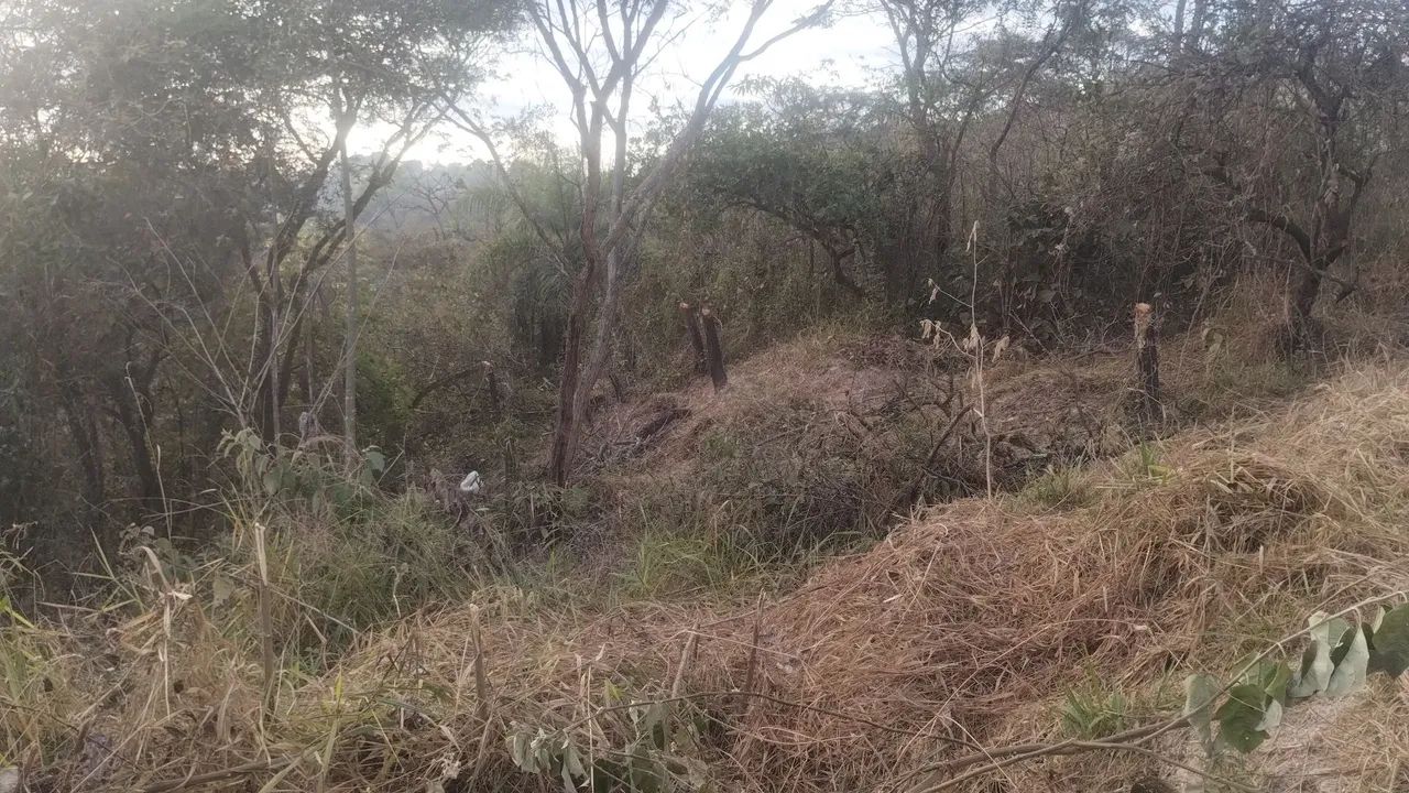 Lote em Juatuba, samambaia 2  - Foto 5