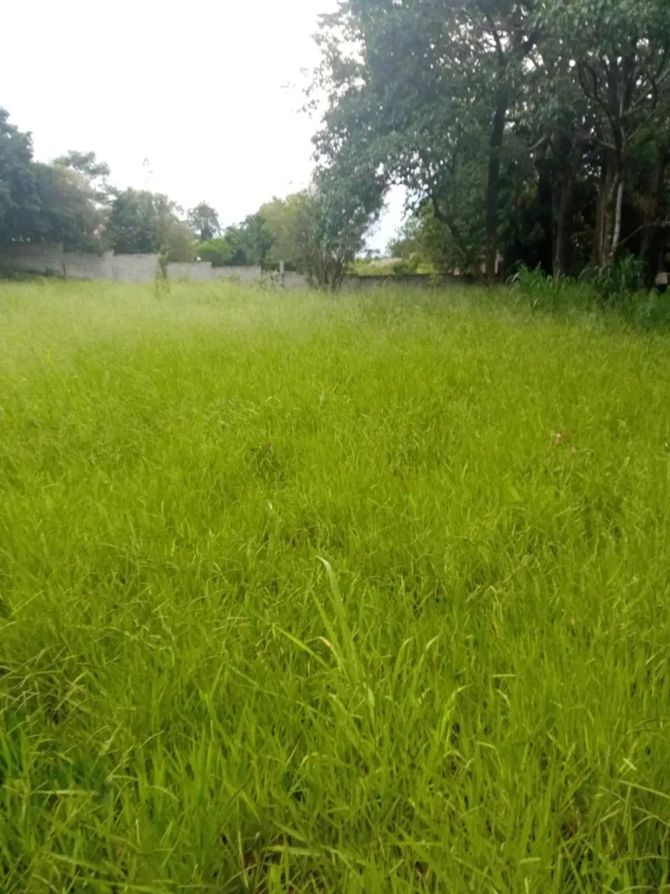 VIANOPOLIS - BETIM/MG. - Foto 4