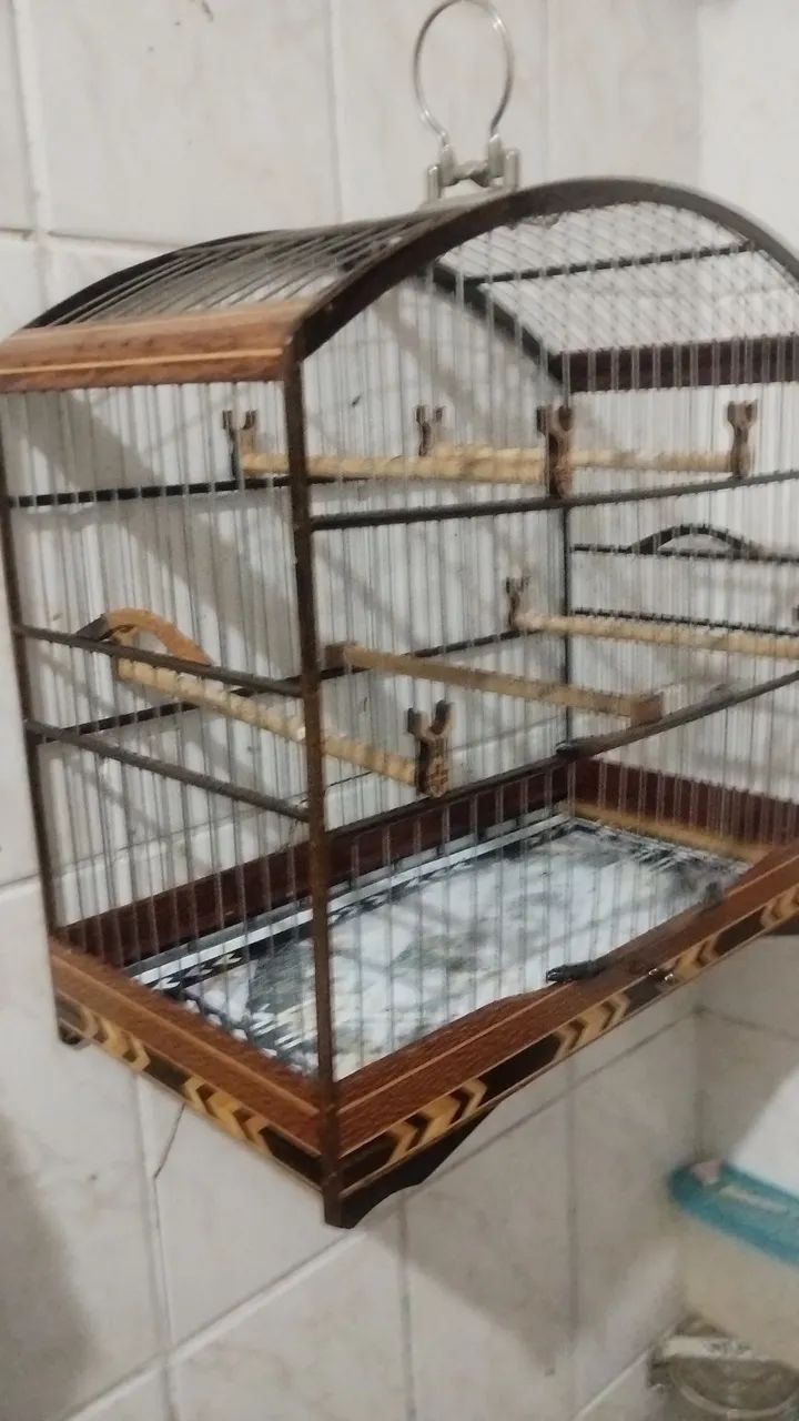 Gaiola  - Foto 3