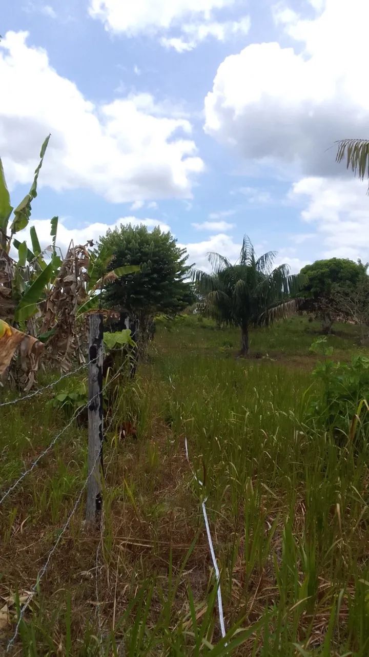 TERRENO DE CHÁCARA 2.000 M2 - S/ BENFEITORIAS - Foto 2