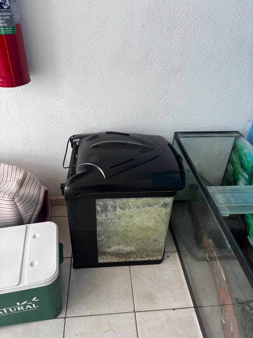 Aquário Boyo tl550 - Foto 2