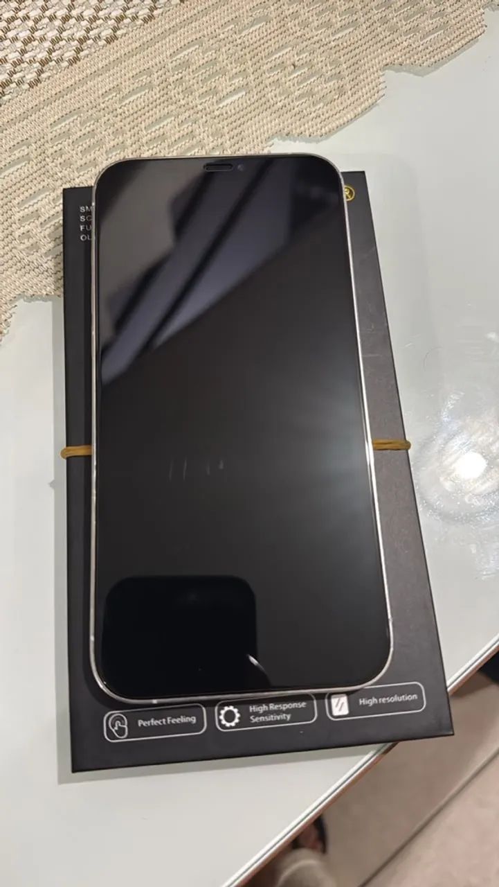 iPhone 12 Pro Max 