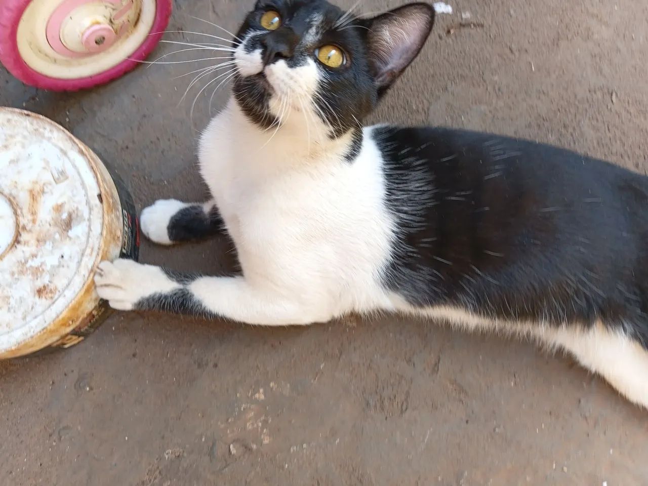Doação  - Foto 4