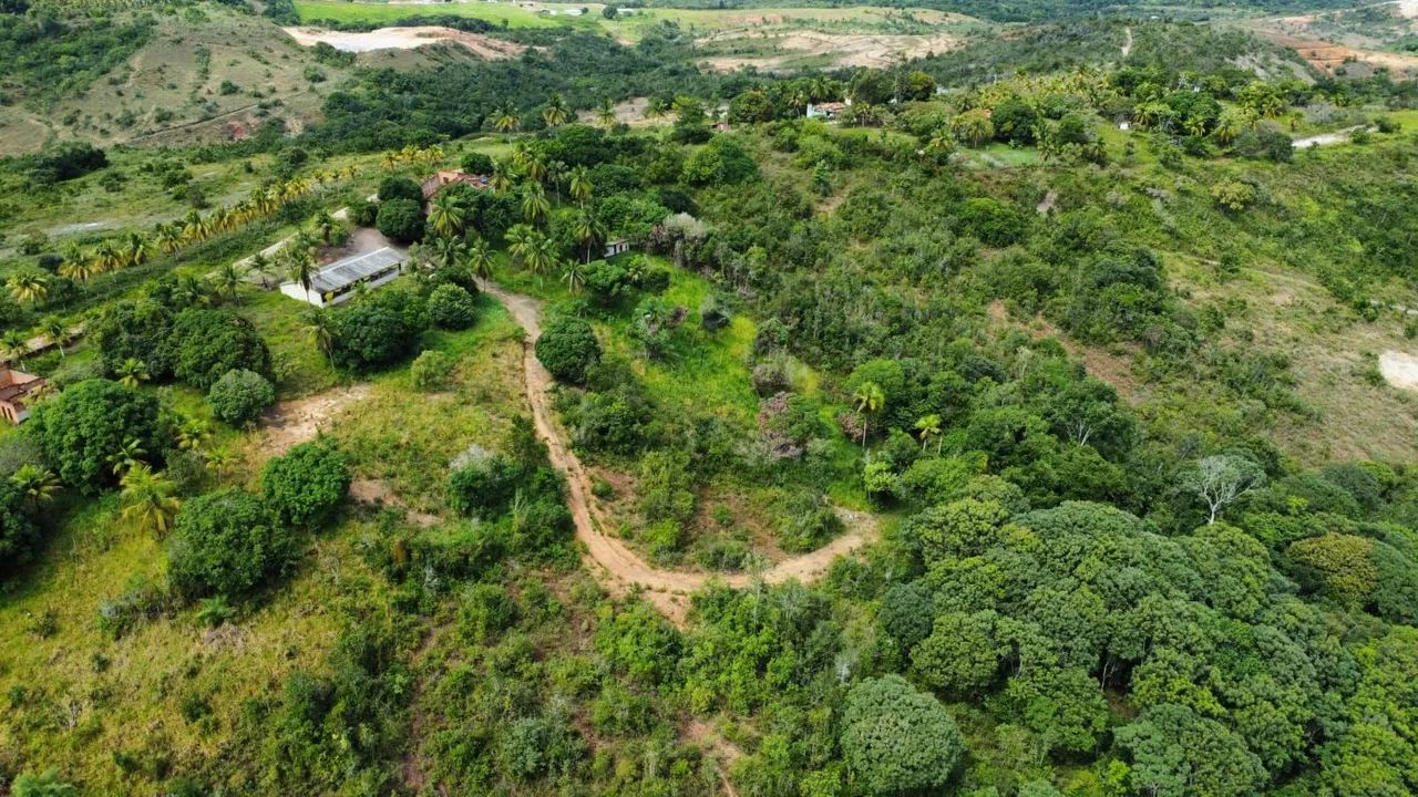 Vendo sítio nas aningas são Cristóvão  - Foto 4