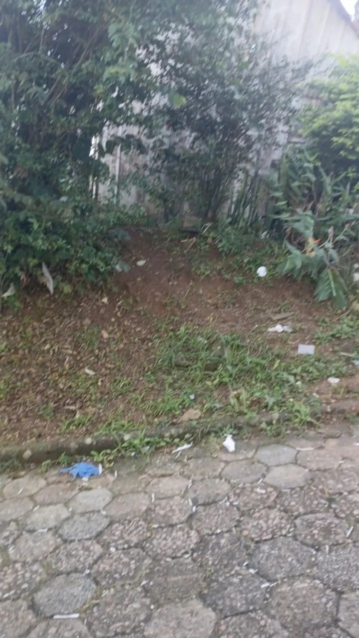 Casa a venda no alto do morro em Florianópolis  - Foto 5