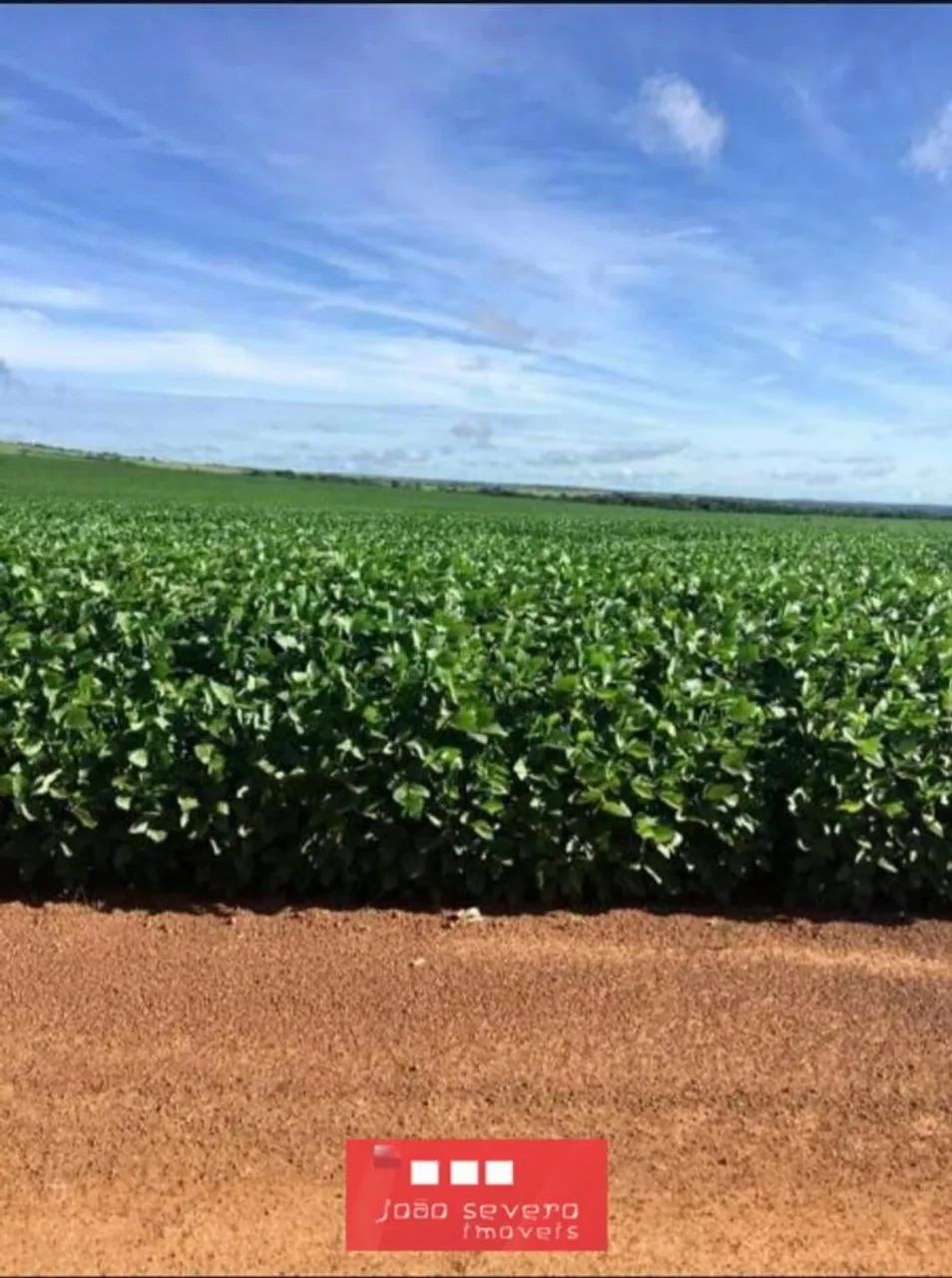 Fazenda para Venda em Confresa - Foto 2