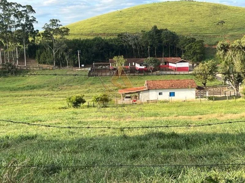 Fazenda - Lorena - Zona Rural - Foto 5