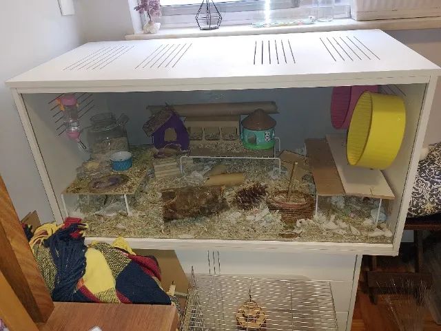Terrário - Foto 2