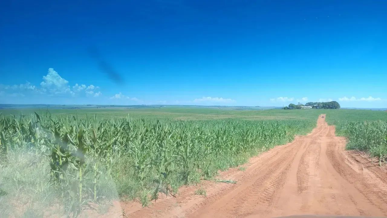 Fazenda para venda no PR. NOROESTE.