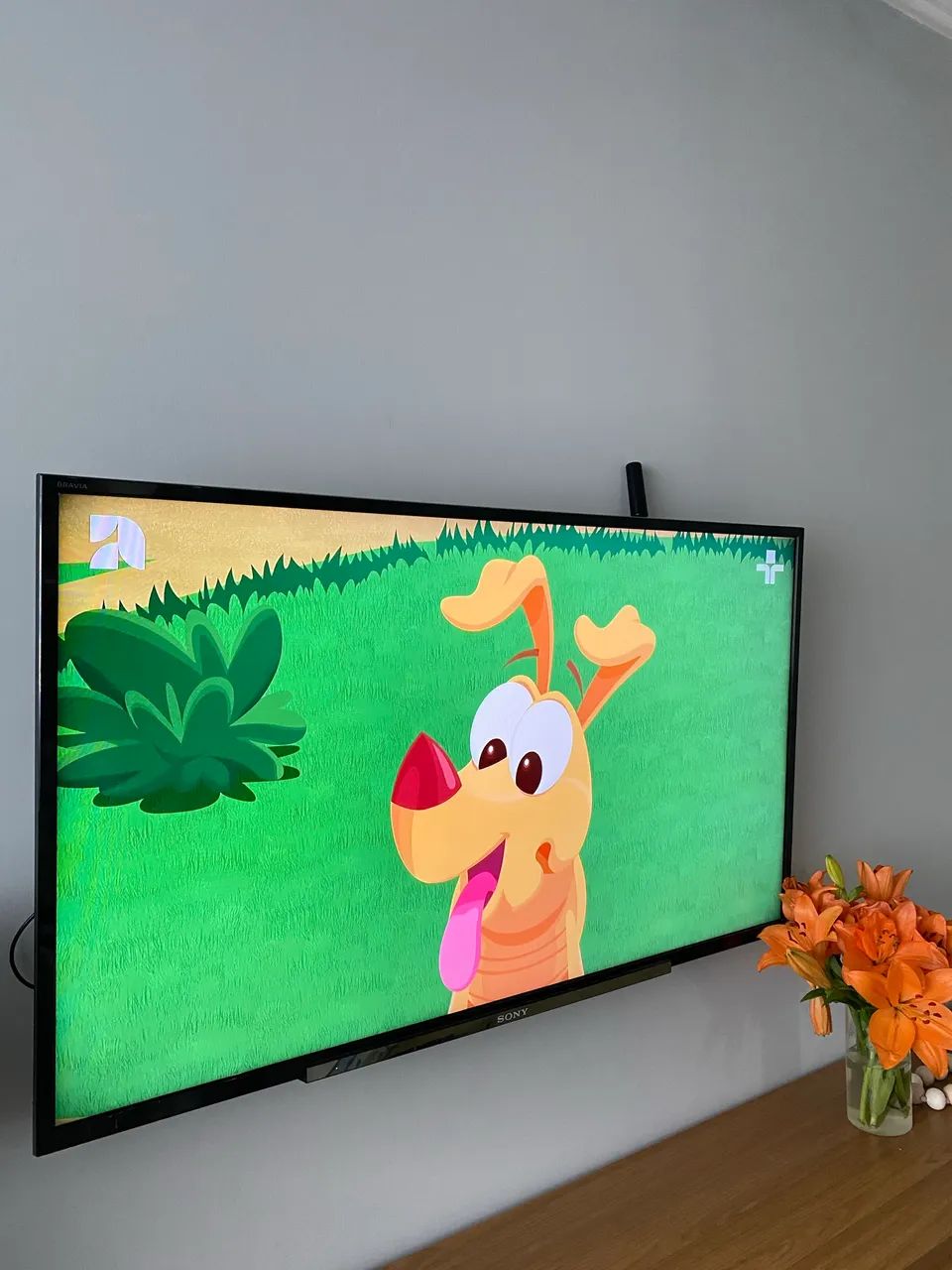 Tv Sony - Foto 3
