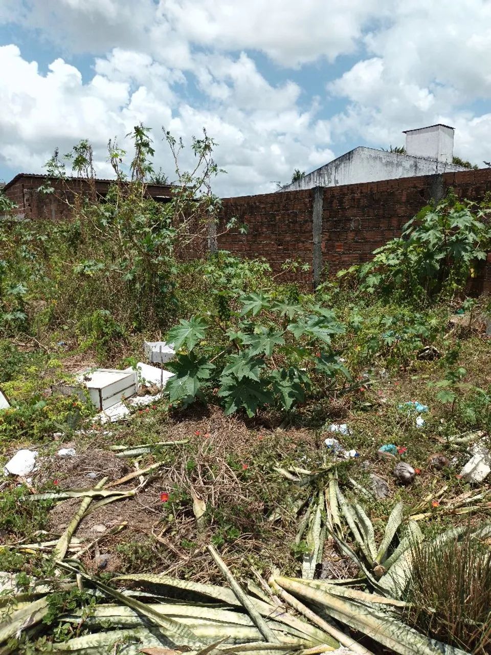Terreno venda  - Foto 4