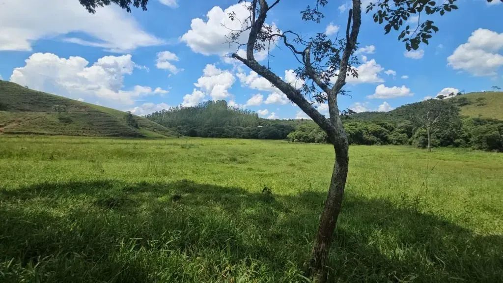 FAZENDA À VENDA | CUNHA/SP - Foto 4