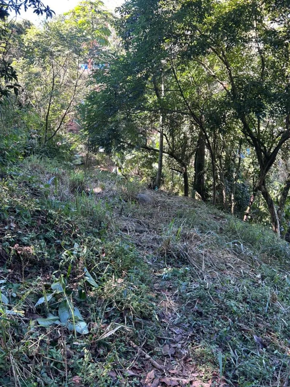 Vende-se Terreno 10x18 no saco dos limoes - Foto 2