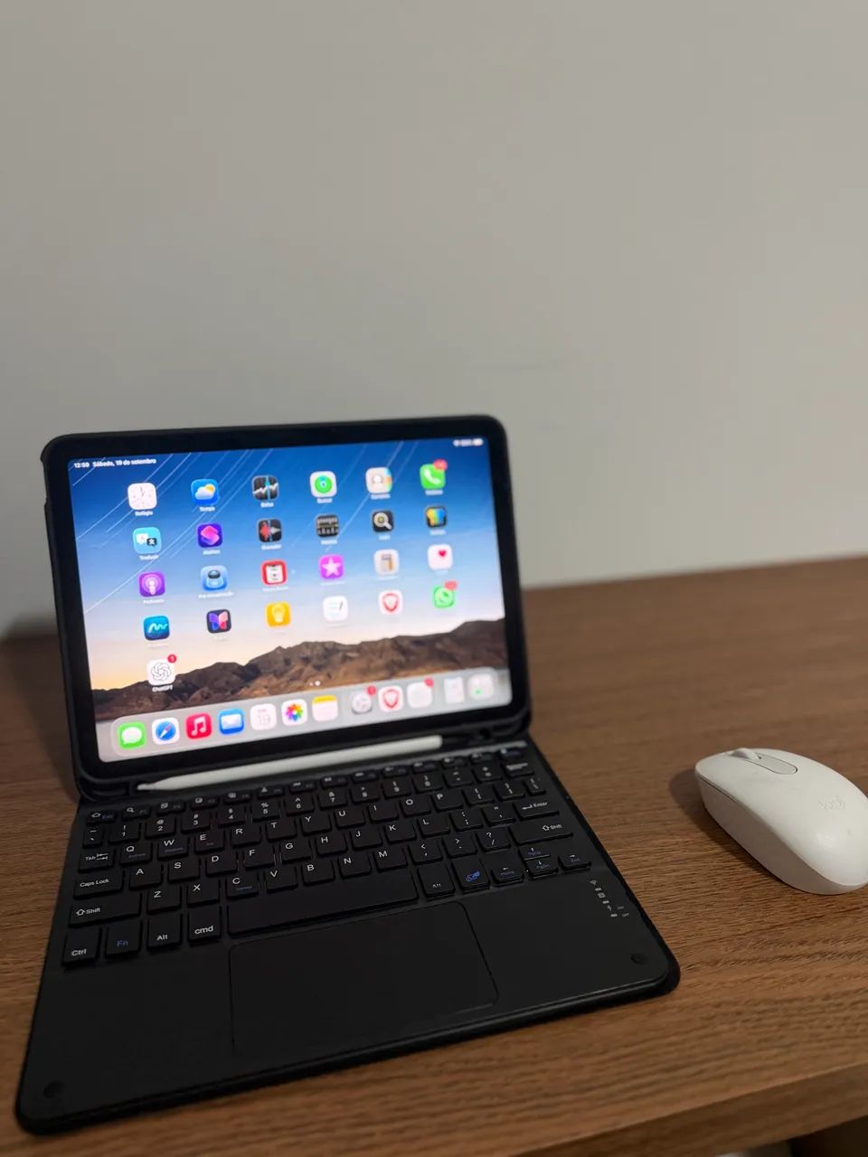 iPad Air + Kit Completo