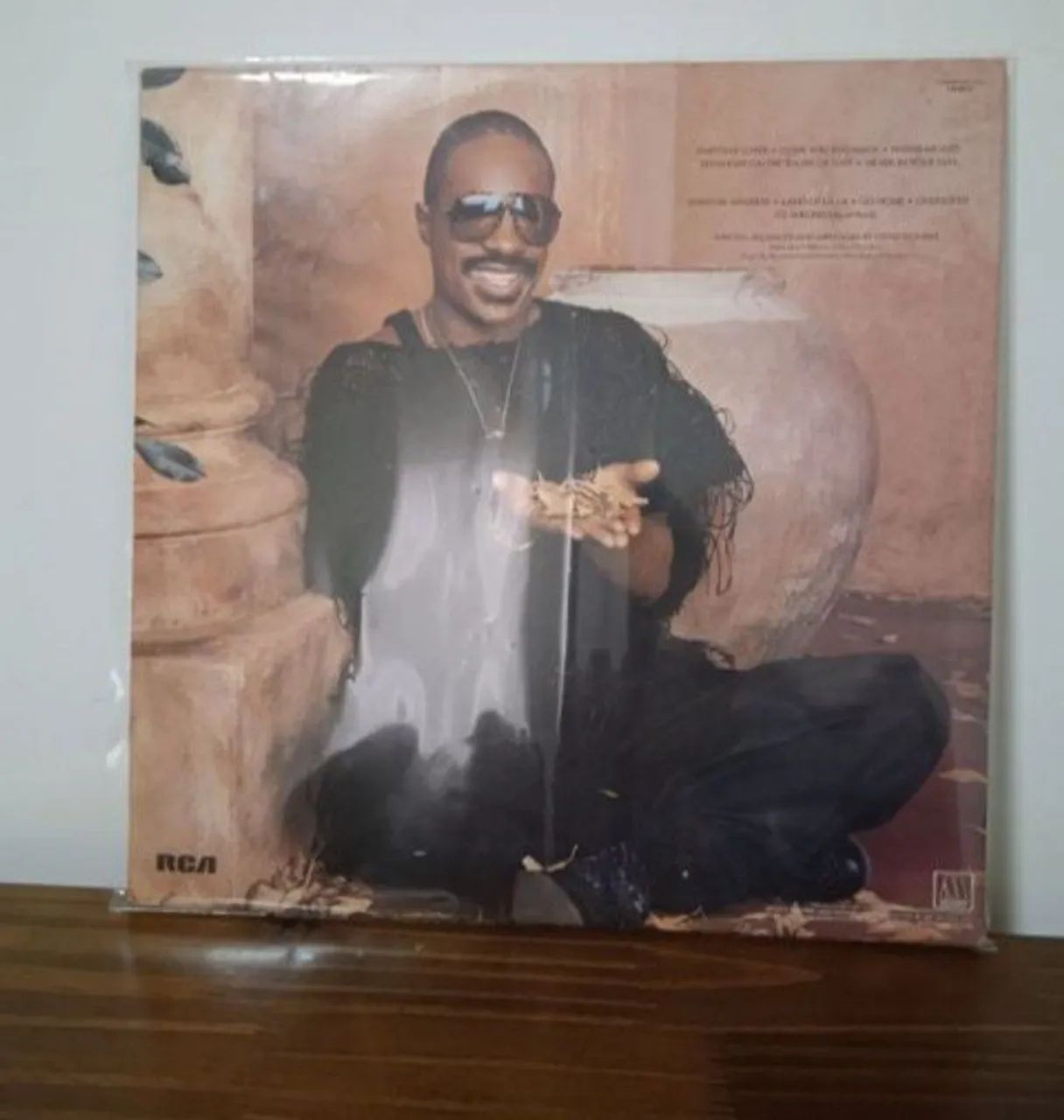 Disco de Vinil Steve Wonder "In Square Circle" - Foto 2