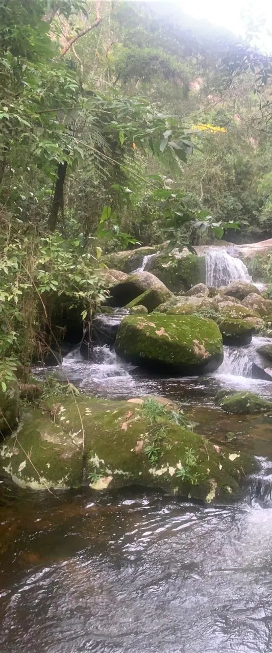 Vendo terreno com 3 piscinas naturais  - Foto 3