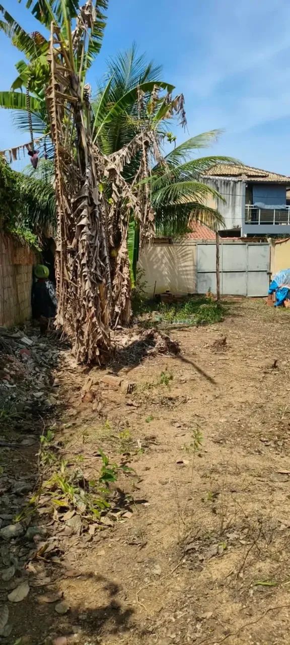 Terreno plano e murado de 190 m2 no Rio da Prata - Foto 3