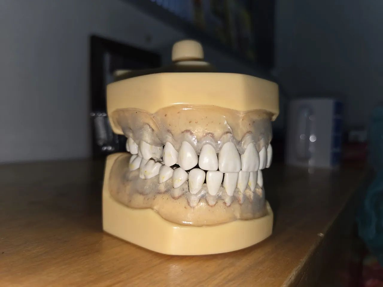 Manequins dentistica e perio  - Foto 5