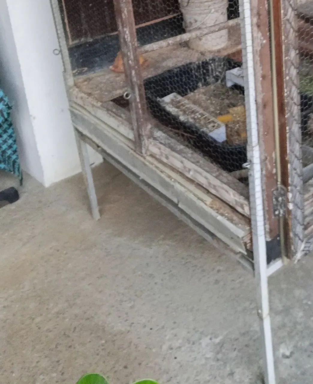 Quadrado telado  - Foto 4