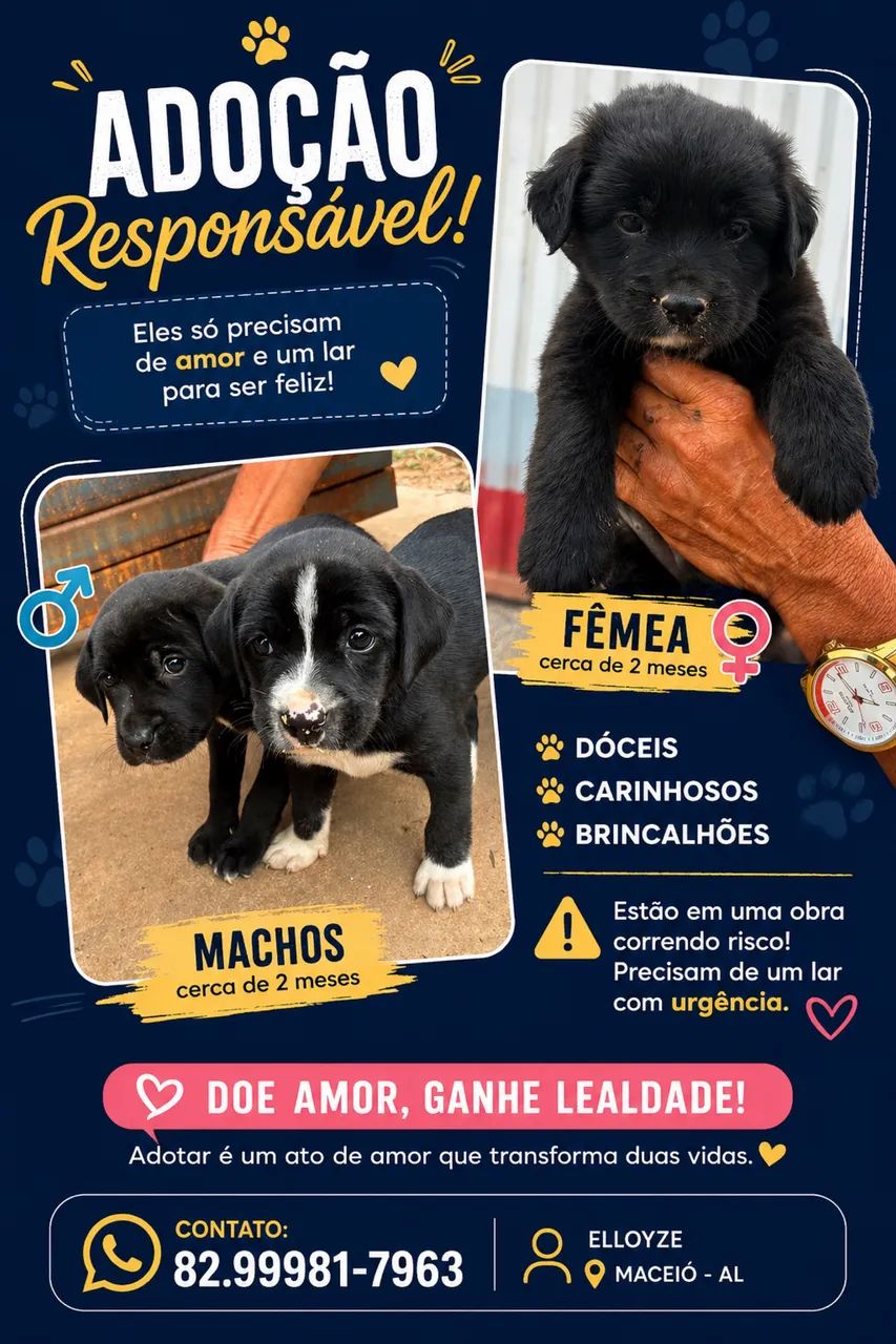 Adoção Responsável 