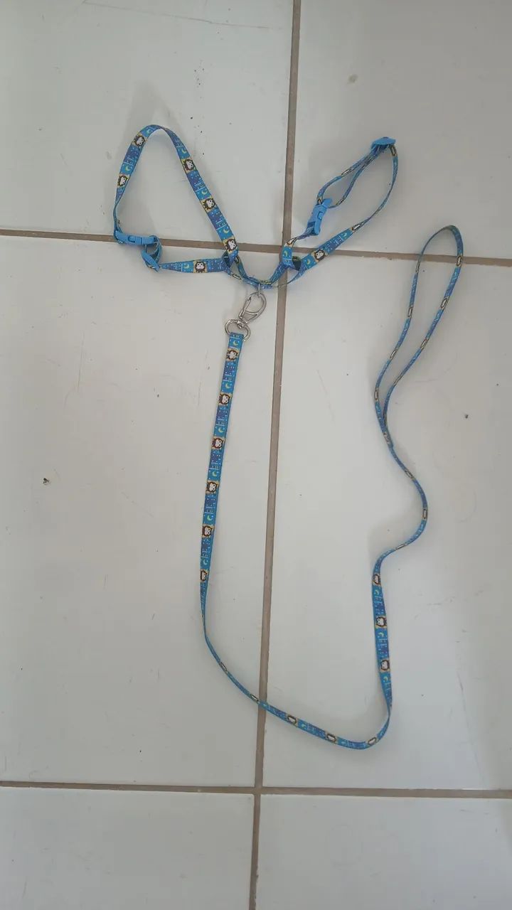 Acessórios para pet.