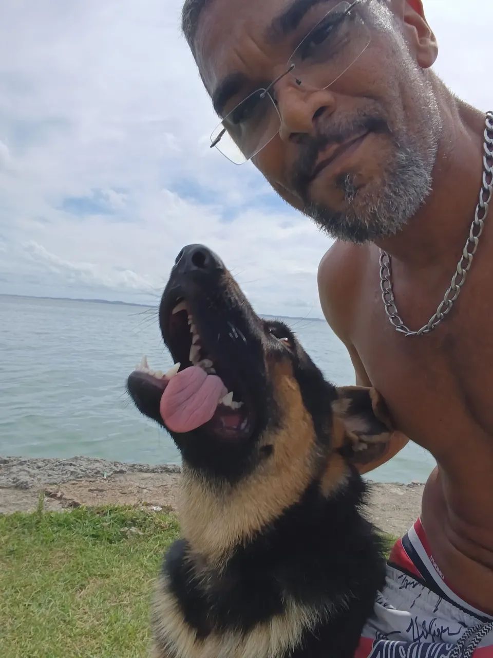 Pastor Alemão  - Foto 4