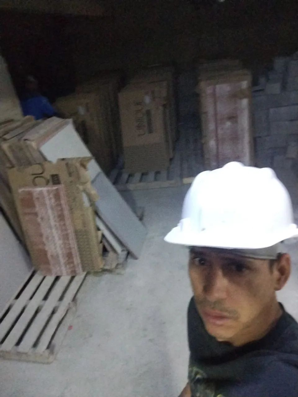 Azulejista  - Foto 5