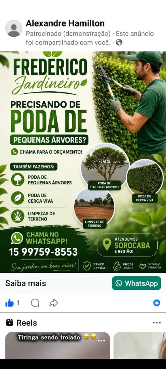 Jardinagem  - Foto 2