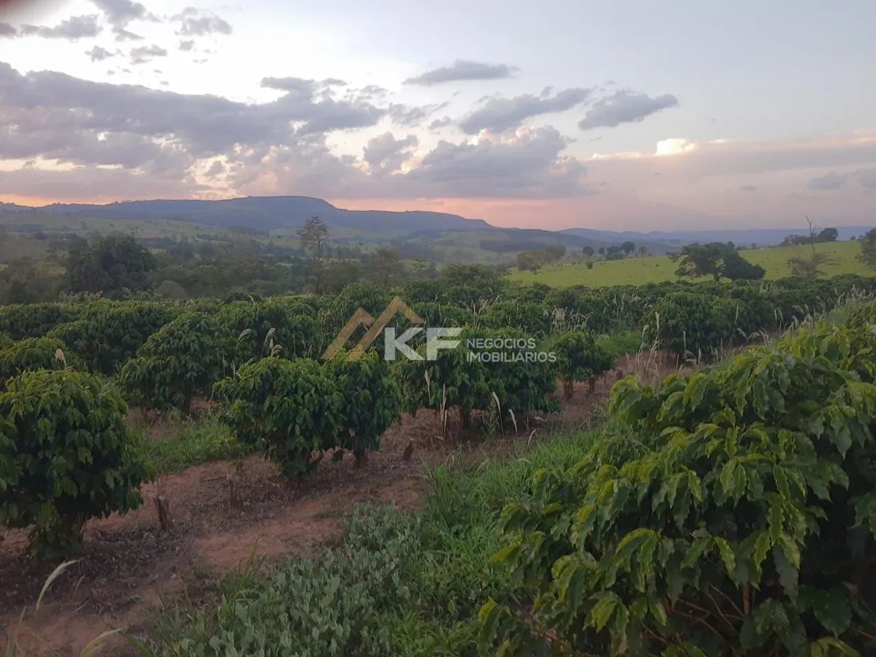 Sítio com Lavoura de café em Cassia/MG - Foto 4