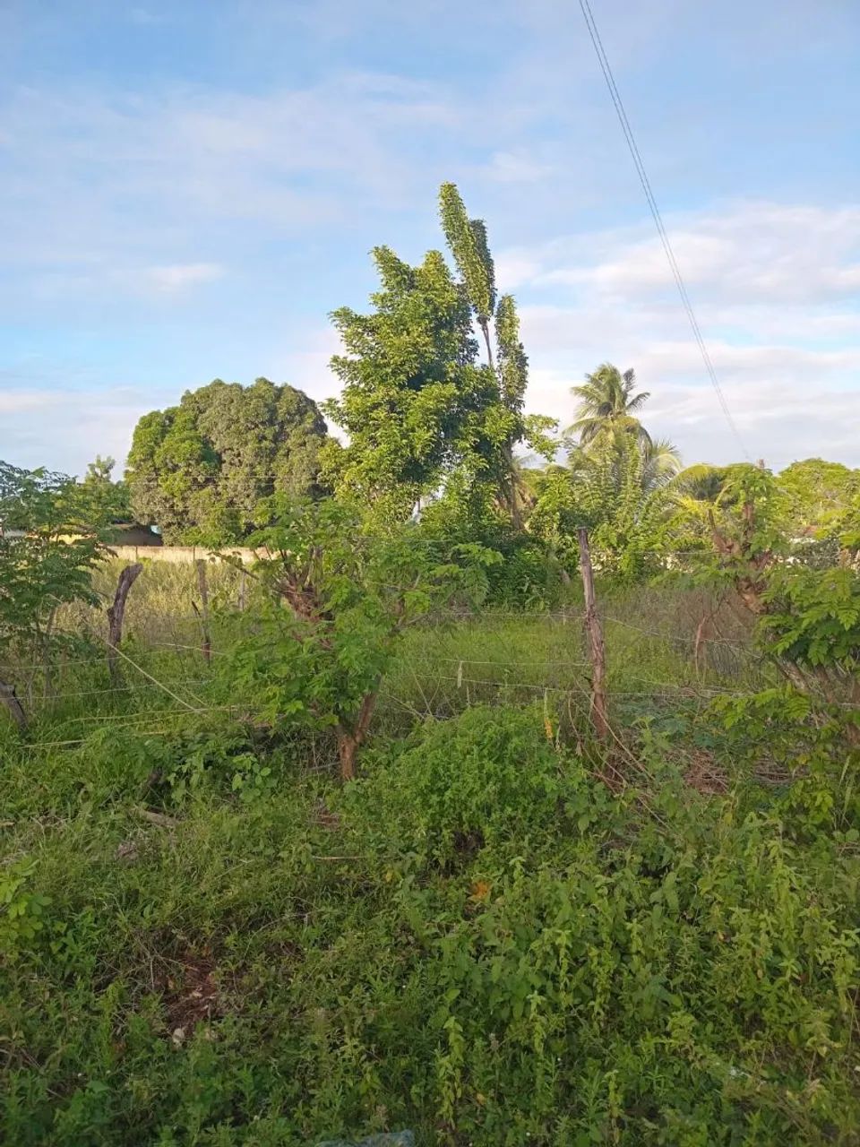Vendo terreno 10x20 - Foto 3