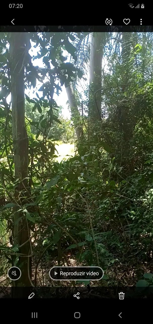 Foto - Piracicaba - Residencial Paineiras